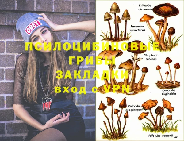 PSILOCYBIN Балабаново