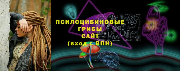 PSILOCYBIN Балабаново