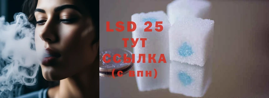 ЛСД экстази ecstasy  гидра как зайти  Шадринск 